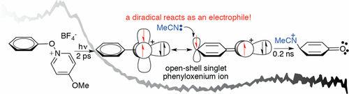 open shell oxenium ion