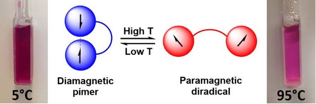 thermomagnetic switch